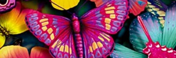 JoanSimons1 Profile Banner