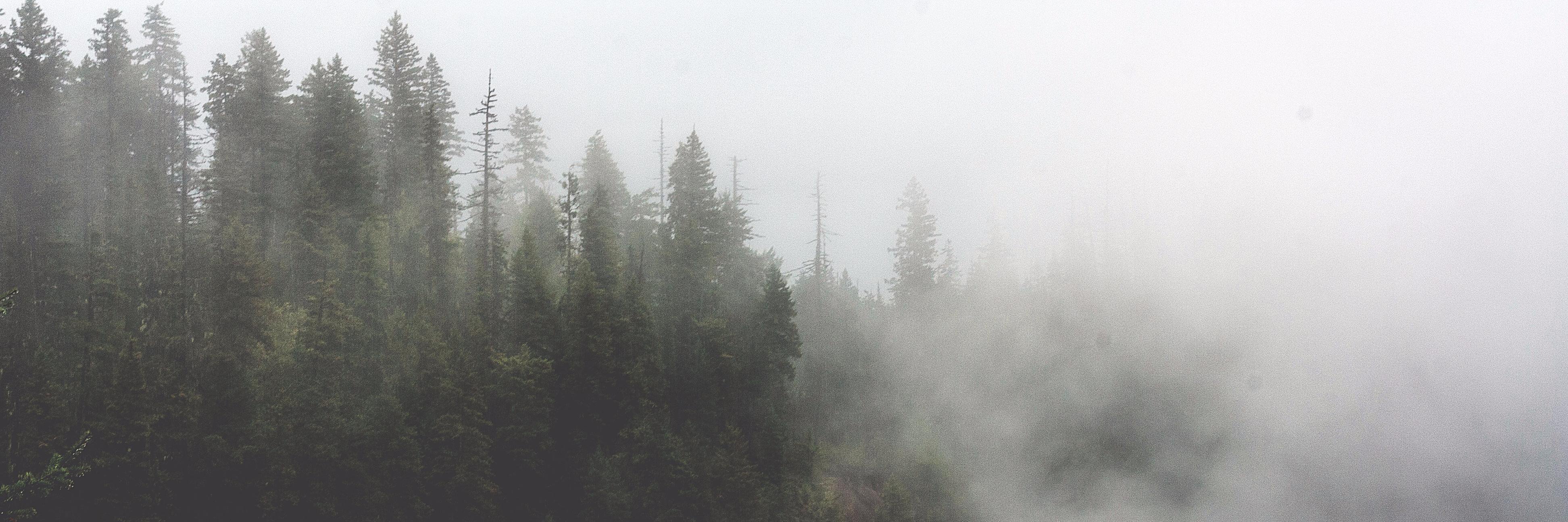 aftonflynn's profile banner image