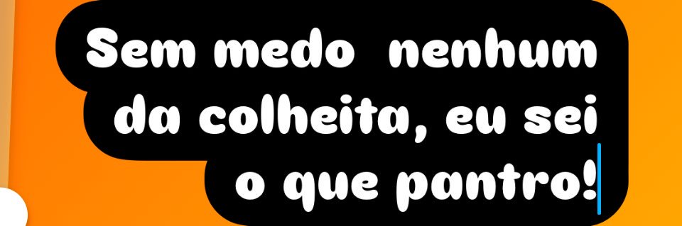 jurema37's profile banner image