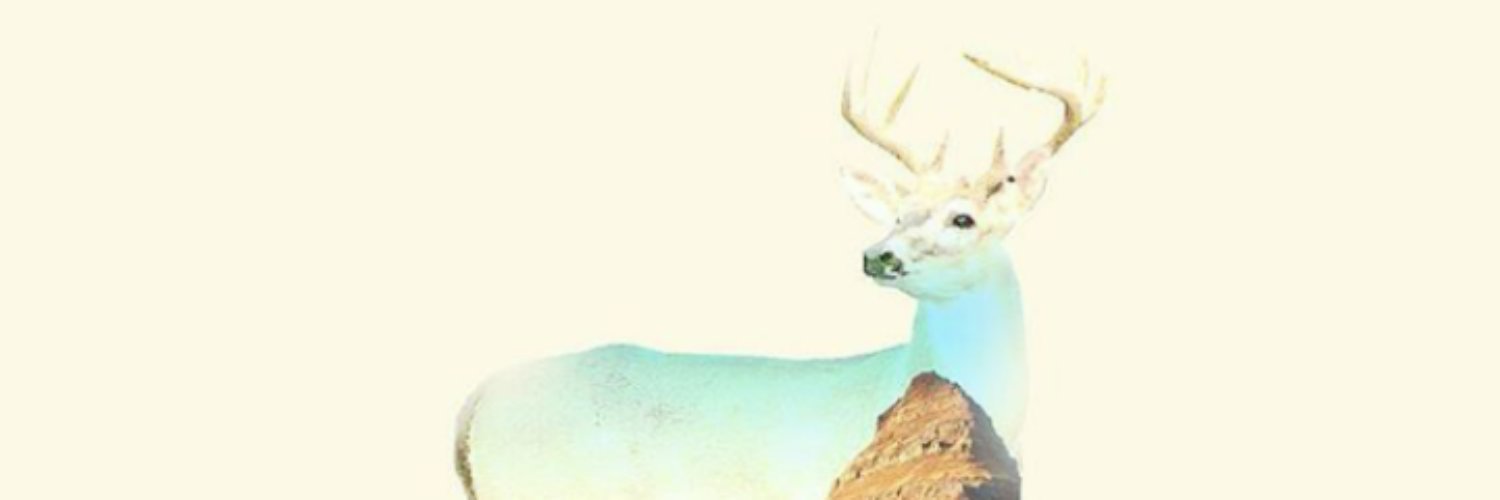 kelonmass's profile banner image