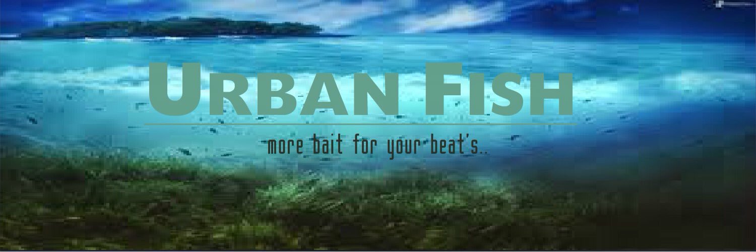 UR3ANFISH's profile banner image