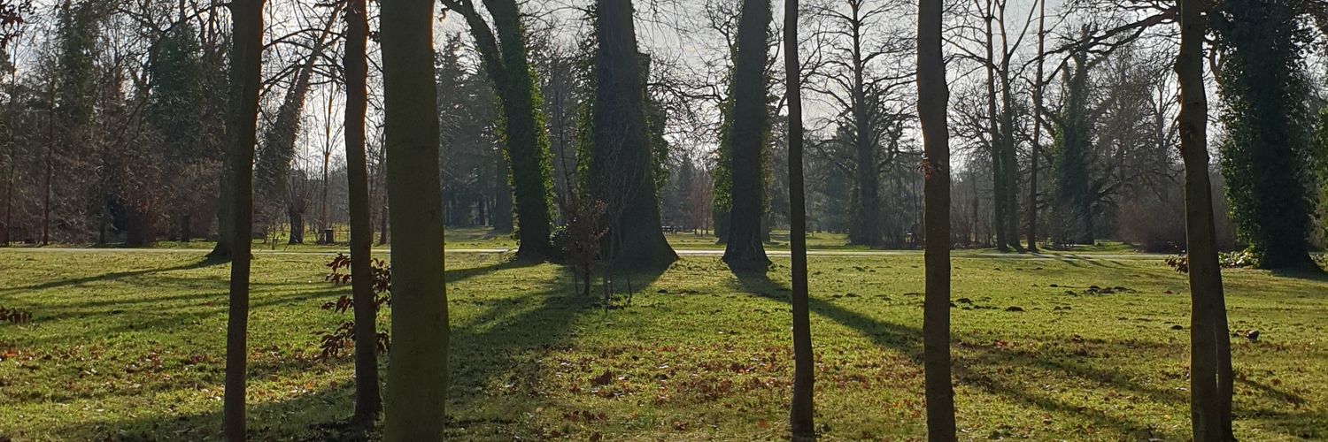 annevanderkant's profile banner image