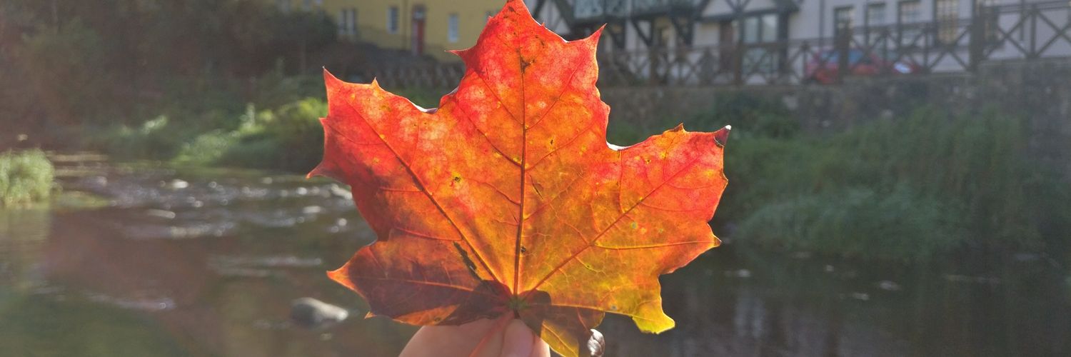 Tayfun Şen 🍉 banner