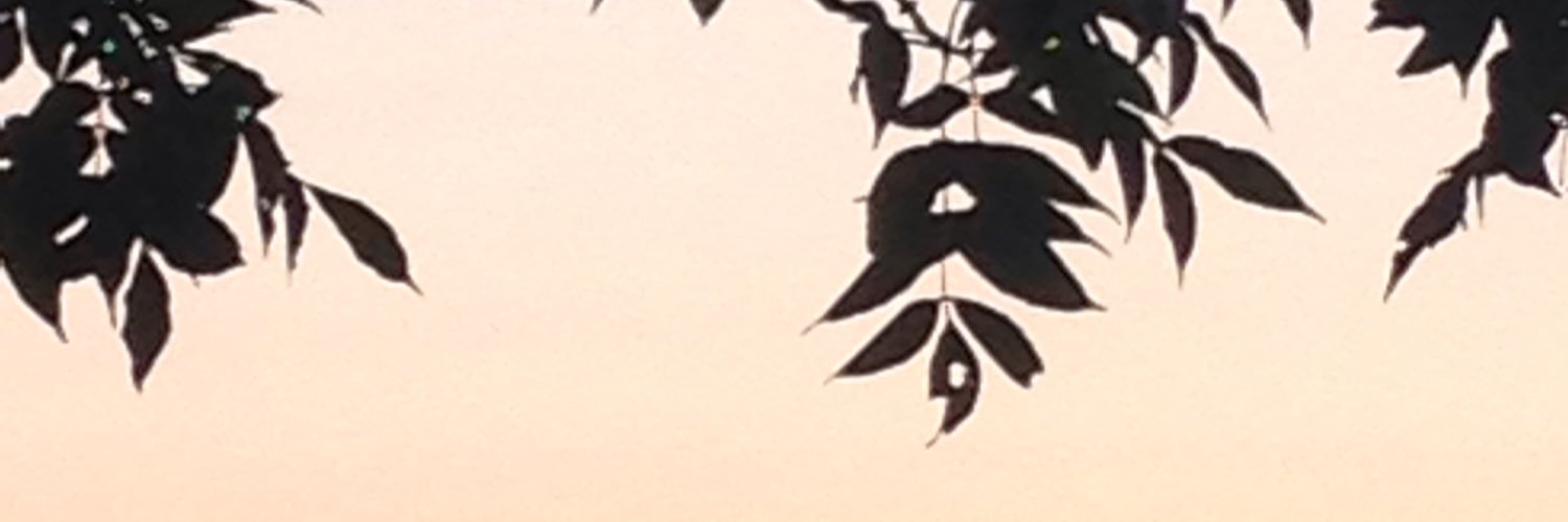 ScxttyD's profile banner image