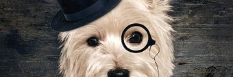 KarstenKinstler's profile banner image
