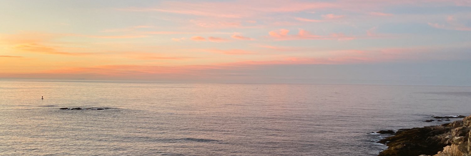 martineiann's profile banner image