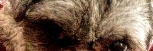 ShaunMusgrave2's profile banner image