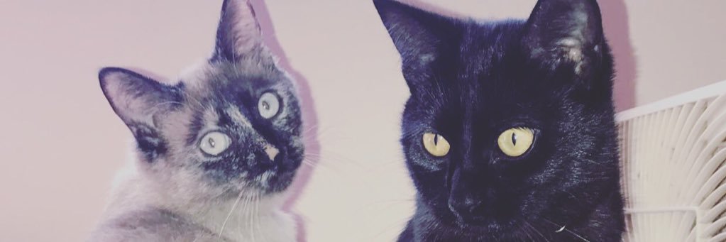 Conaaay's profile banner image