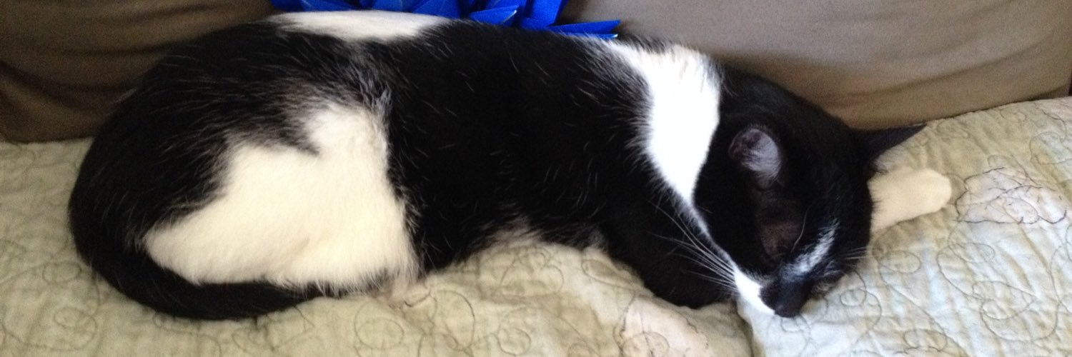 StayHomePetDad's profile banner image