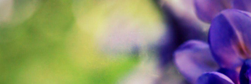 lifeminduk's profile banner image