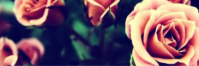 jodikat8's profile banner image