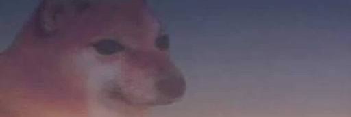 EloxCV01's profile banner image
