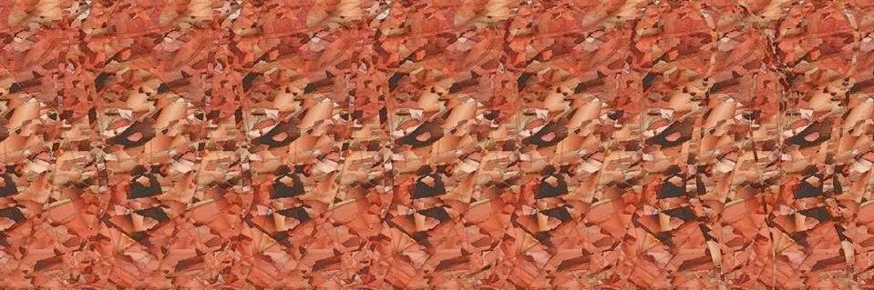 KyleAndHisCats's profile banner image