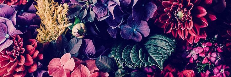 EmilyNewman11's profile banner image