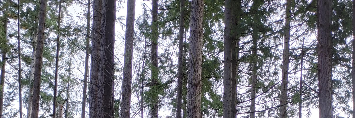 IanPotoshnik's profile banner image