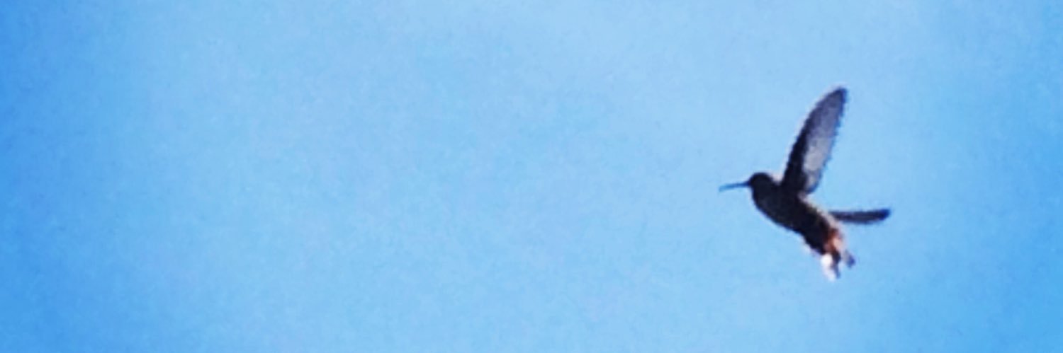 keemau's profile banner image