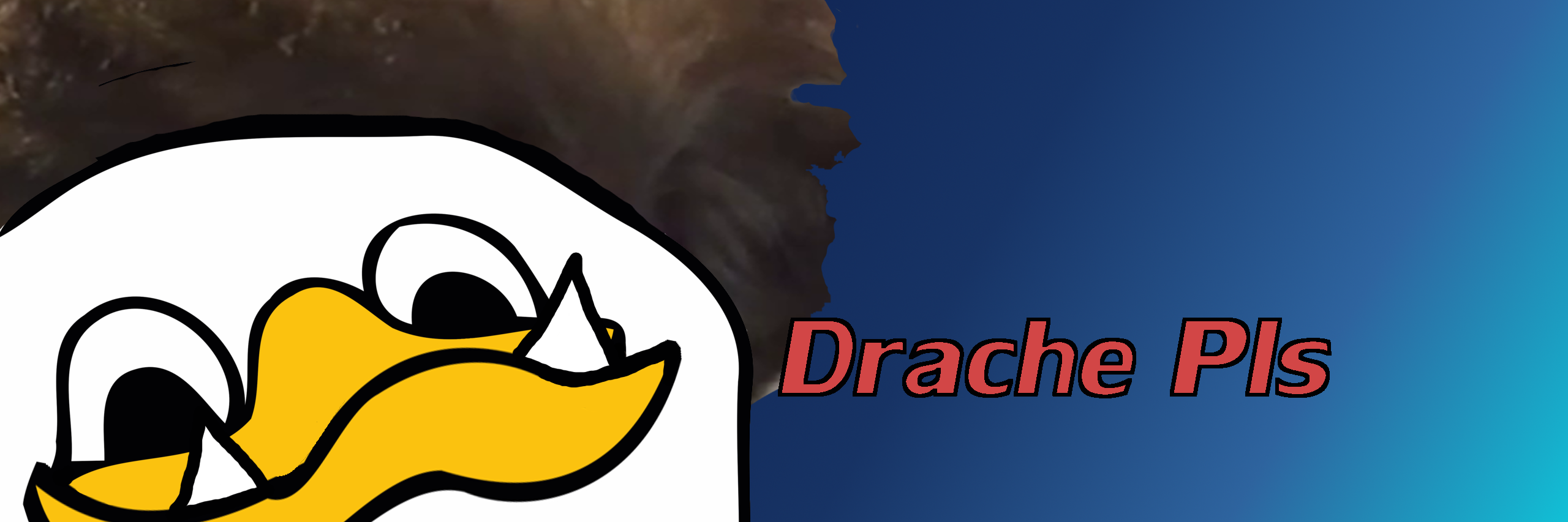 DrachePls's profile banner image