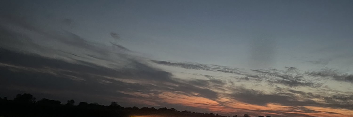 leeneasia's profile banner image