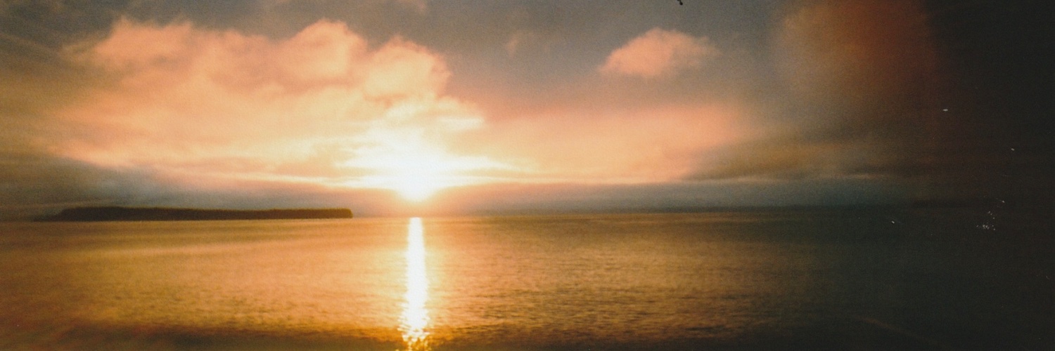 MegsKells's profile banner image