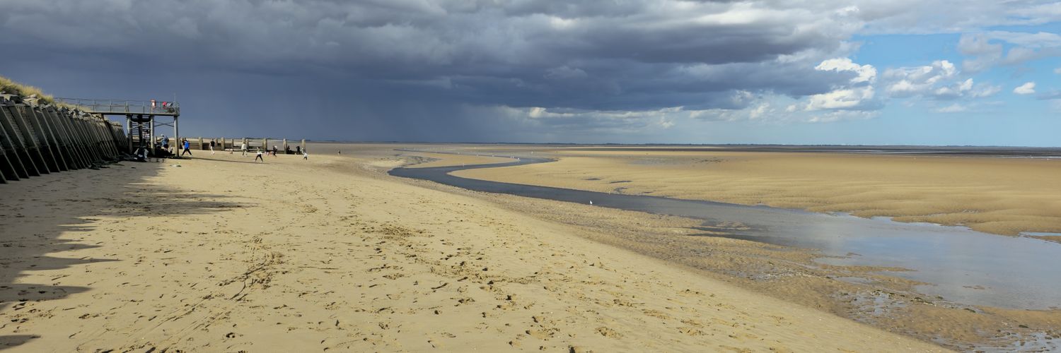 wanipuk's profile banner image