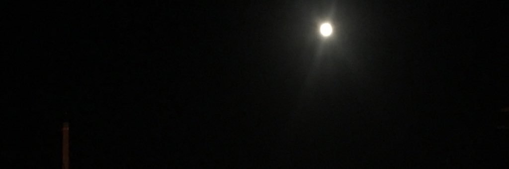 anasrakhm's profile banner image