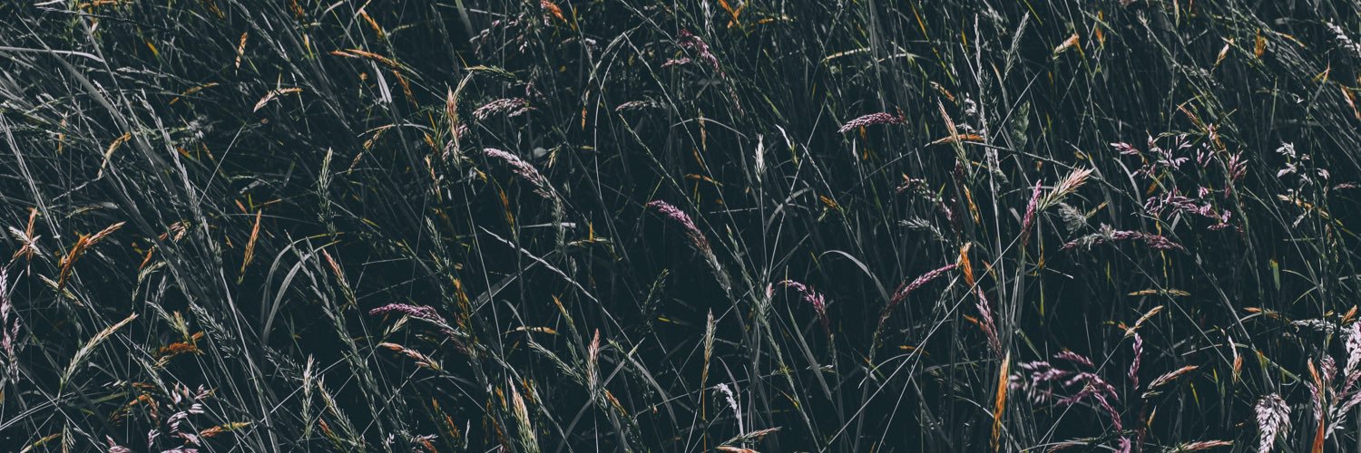 memoriesglow_'s profile banner image