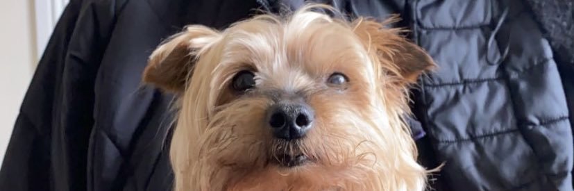 trodden10_'s profile banner image