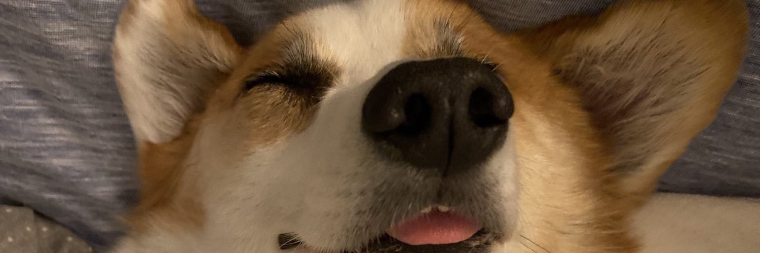 freshmattkanfer's profile banner image