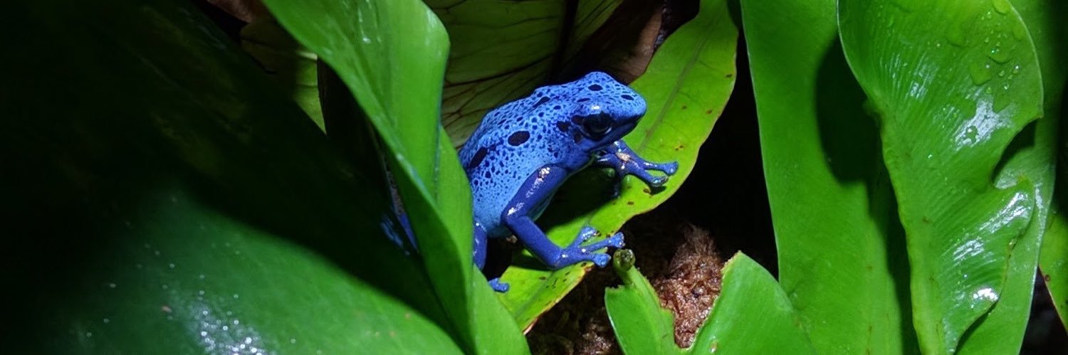 PaleoZooMan's profile banner image