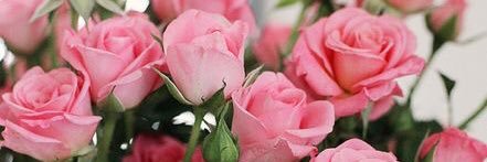 Poussy51's profile banner image