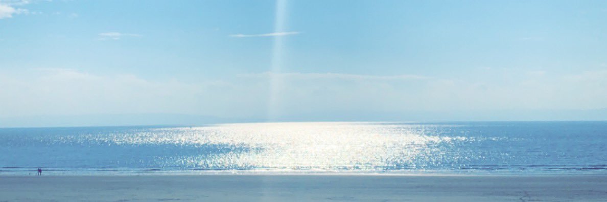 Georgia Webster banner