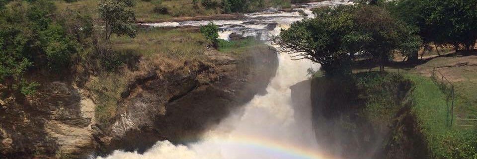 Damali Nakitende MD banner