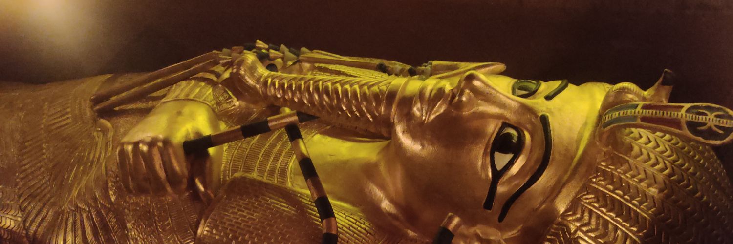 Martha Eugenia LGamiz Matuk banner