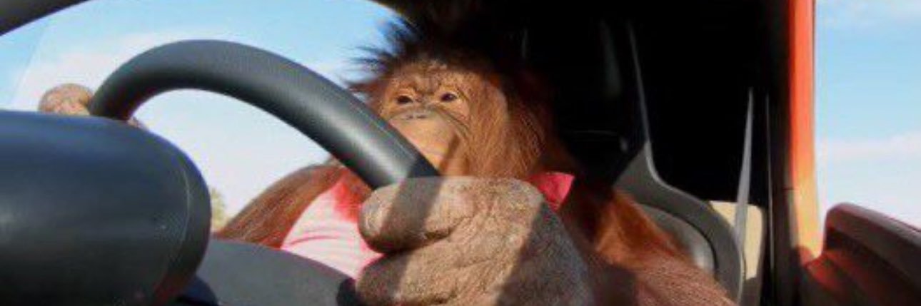 __NickyT__'s profile banner image