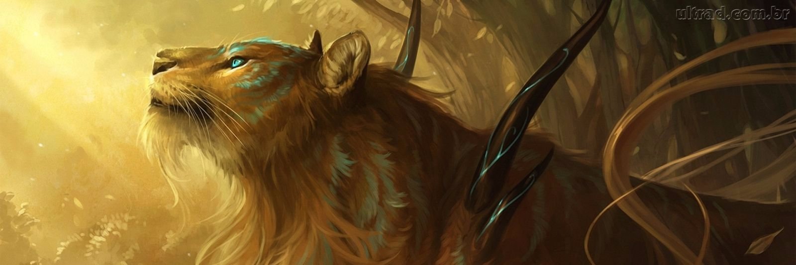 AmandaFerllin's profile banner image
