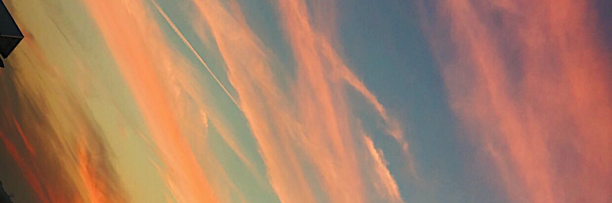 gracietoney's profile banner image