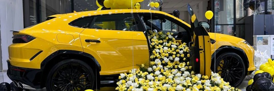 inchangmae's profile banner image