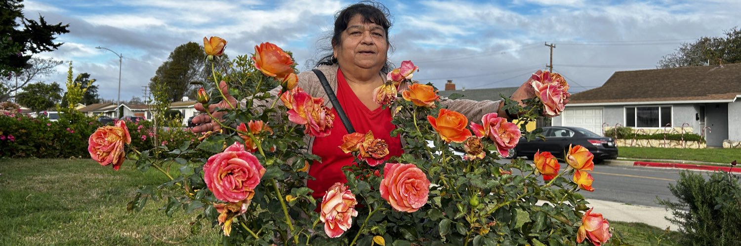 iamandiib's profile banner image