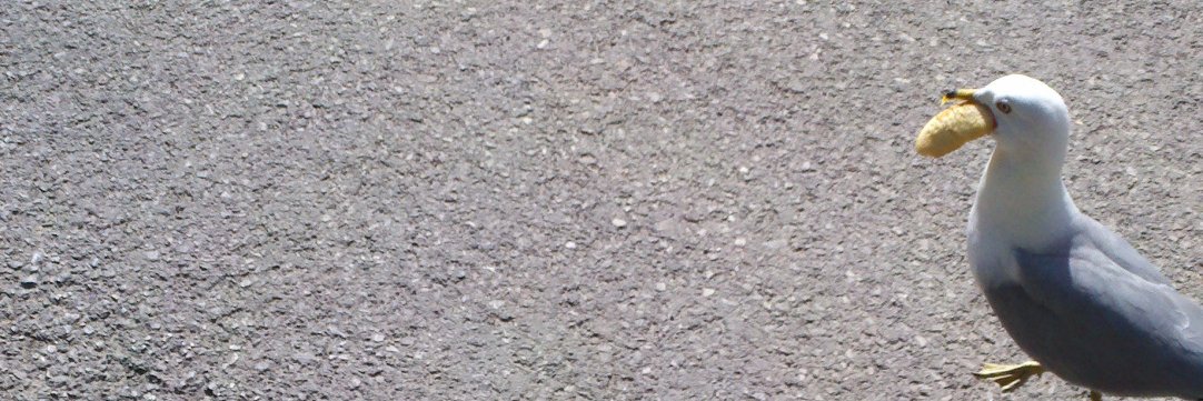 malcoppenrath's profile banner image