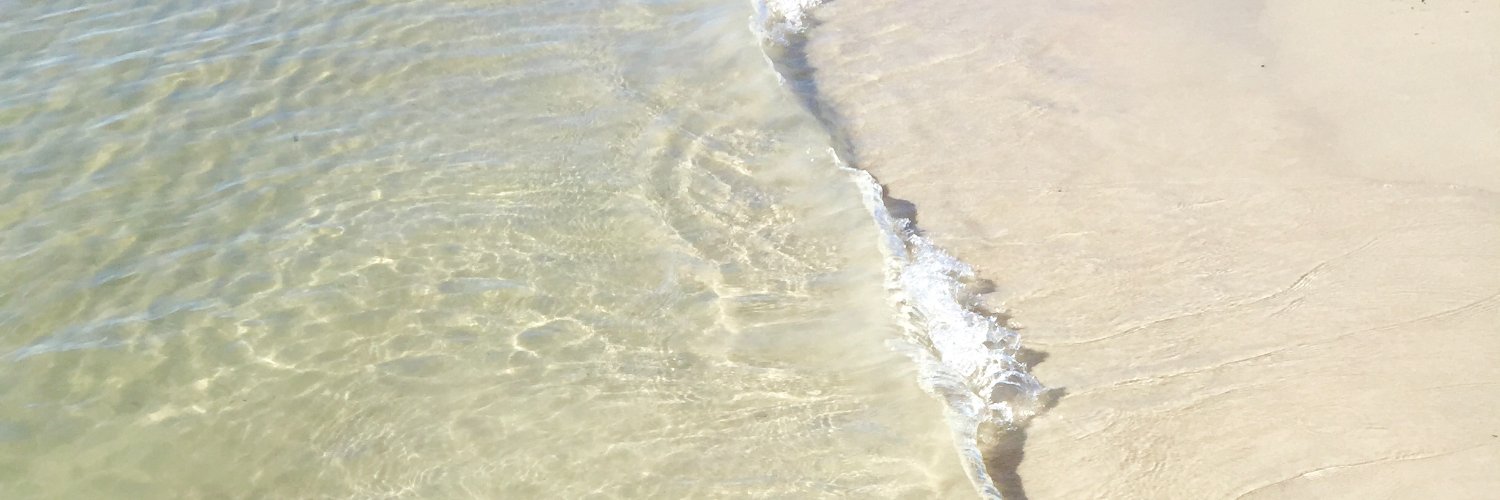 brookeann711's profile banner image