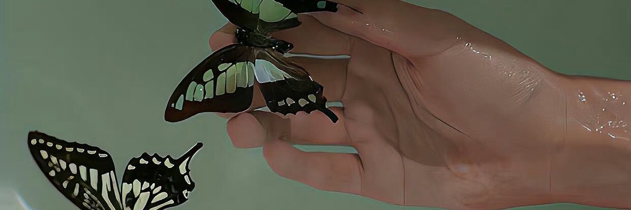 Bashfill131's profile banner image