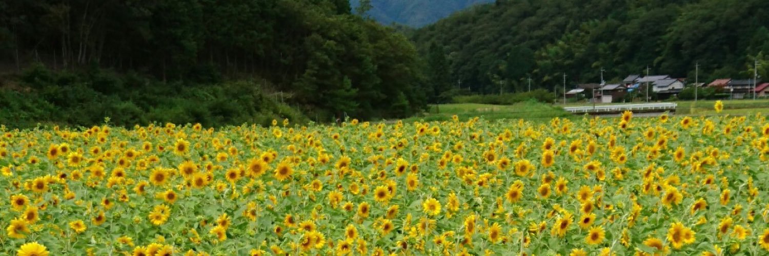 maar11e8's profile banner image