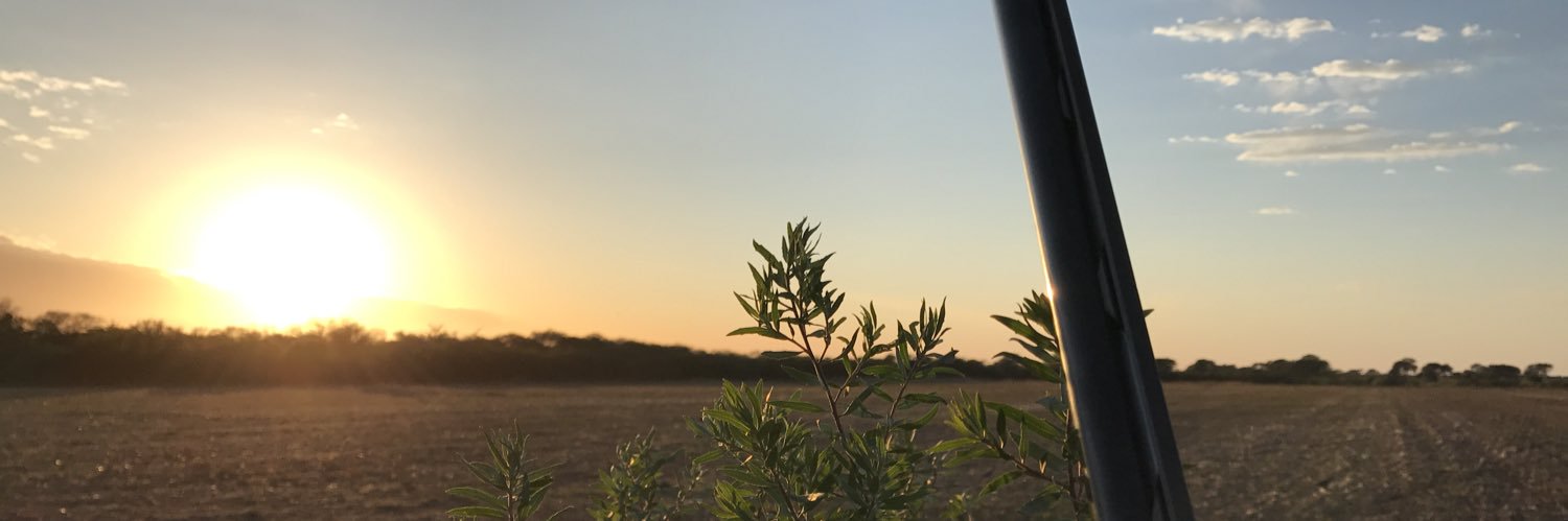 Fivedawgs's profile banner image