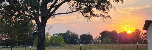 jamesusa7's profile banner image