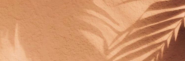 andreanne_guim's profile banner image