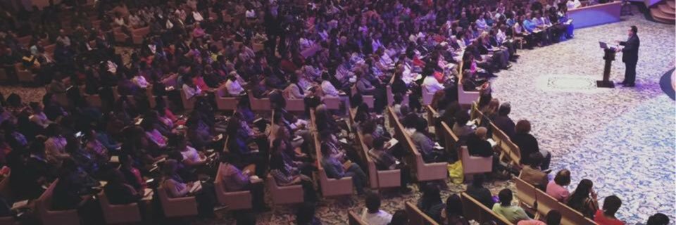 David T. Demola banner