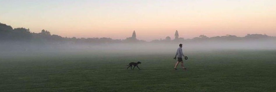 thombarwise's profile banner image