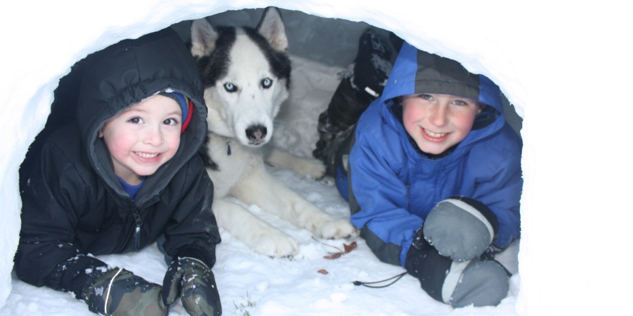 sarahneckert's profile banner image
