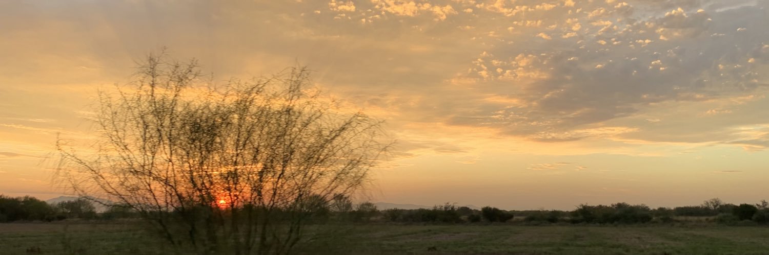 omvizais's profile banner image