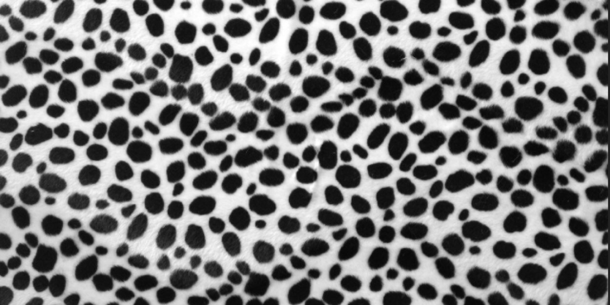 p_chamberlin's profile banner image